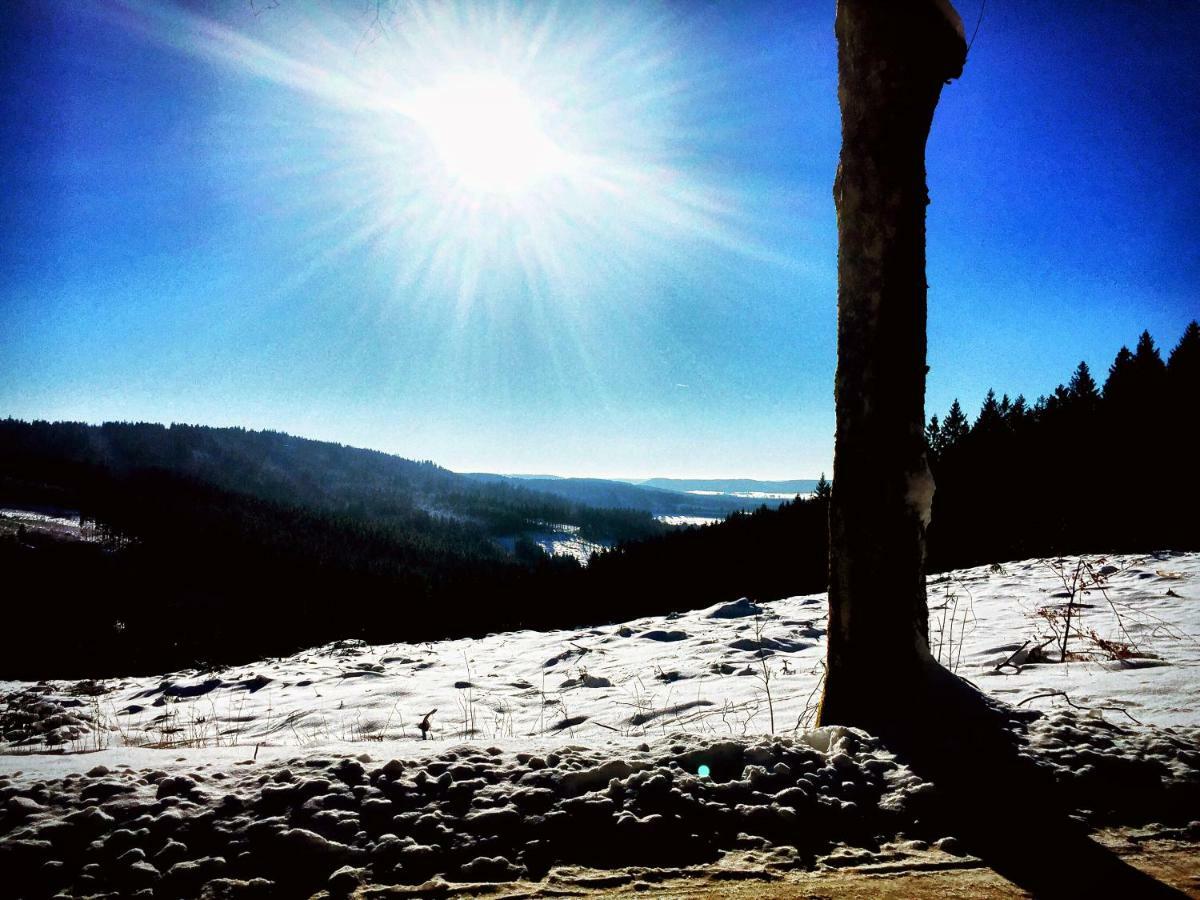 La Reposee Du Lac Lägenhet Vielsalm Exteriör bild